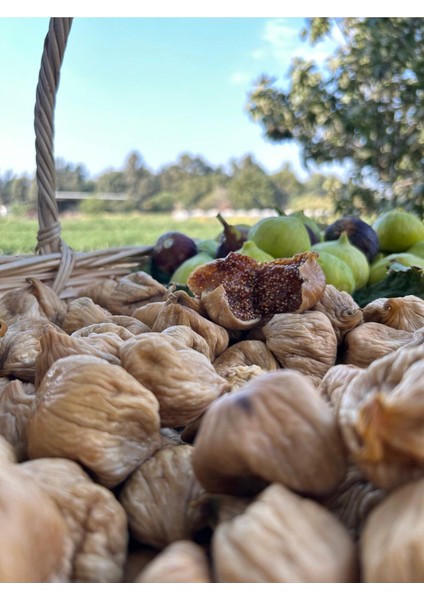 Kuru Incir Jumbo Boy | 1 kg indirimleri