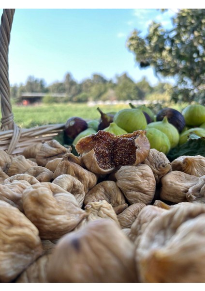 Kuru Incir Jumbo Boy | 1 kg