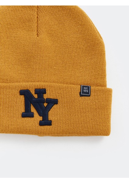 Yeni Sezon Yazı Nakışlı Erkek Bere fiyatları