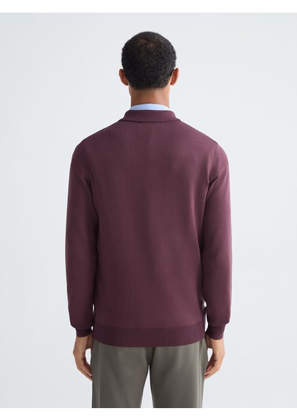 Yeni Sezon Polo Yaka Erkek Triko Kazak fırsatları