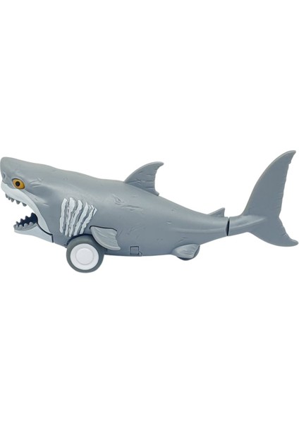 Sürtmeli Hayvanlar Serisi - H-53 - Köpekbalığı (Lisinya) modelleri