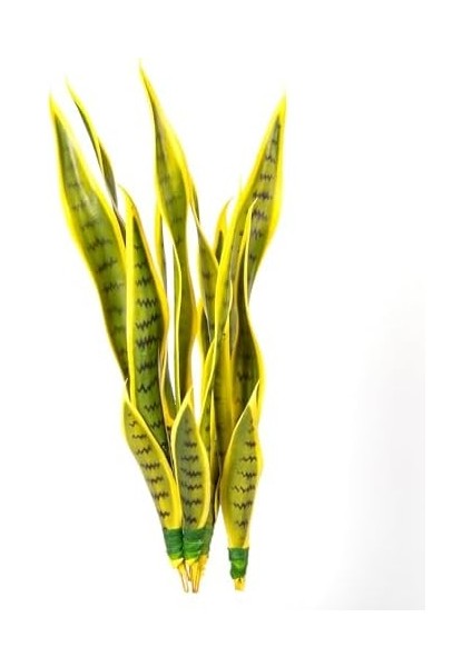 Yapay Bitki Paşa Kılıcı Gerçek Dokulu 15 Yaprak Sarı-Yeşil 53 Cm. fiyatları