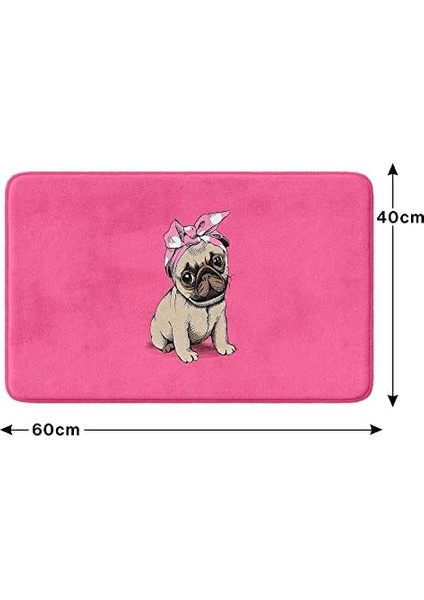 Sevimli Tasarımlı Mikrofiber Paspası, Kaymaz Taban, Yıkanabilir (252_BPSM, 2'li Takım 40X60_50X80) fiyatları