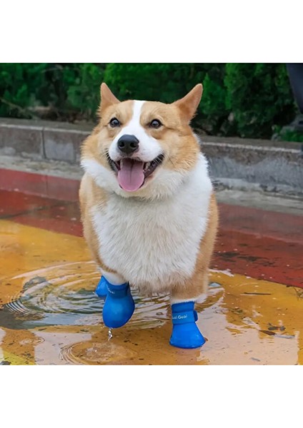 Su Geçirmez Silikon Kedi Köpek Ayakkabısı