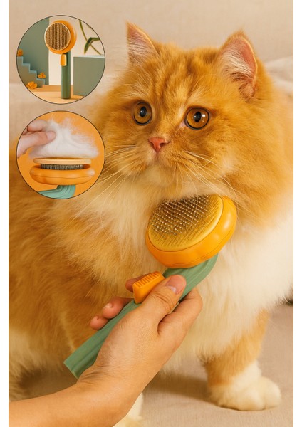 Tüy Sorununa Son! Tek Tuşla Otomatik Temizlenen Kedi Tarağı modelleri