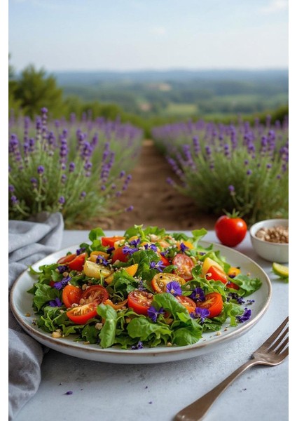 Doğal Lavanta Sirkesi 500 ml (L.angustifolia-Tıbbi Lavanta) fiyatları