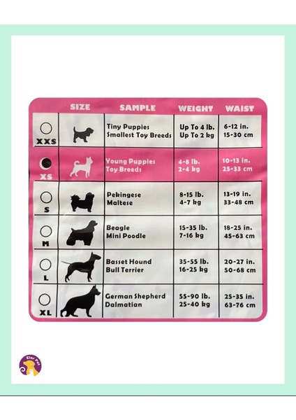Ultra Emici Köpek Külot Çiş Pedi XS Beden 12'li modelleri