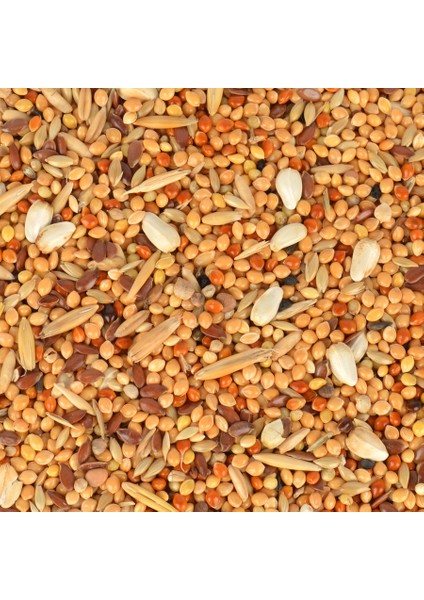 Classic Kondisyon-Konuşturucu Yem 150 Gr. modelleri