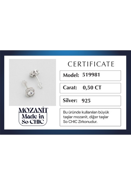 Mozanit Tutkusu 18 Ayar Beyaz Altın Kaplama Gümüş Küpe indirimleri