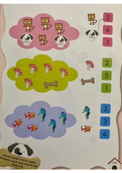 Badem'in Tatil Balonu Okul Öncesi Etkinlik Kitabı modelleri