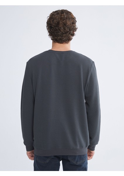 Yeni Sezon Bisiklet Yaka Uzun Kollu Erkek Dokulu Sweatshirt fırsatları