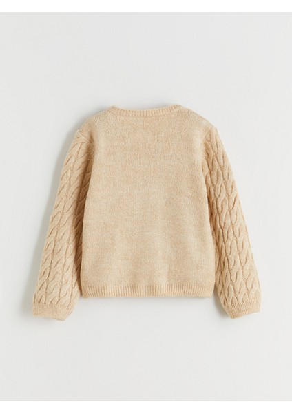 Yeni Sezon Bisiklet Yaka Kız Çocuk Triko Hırka modelleri