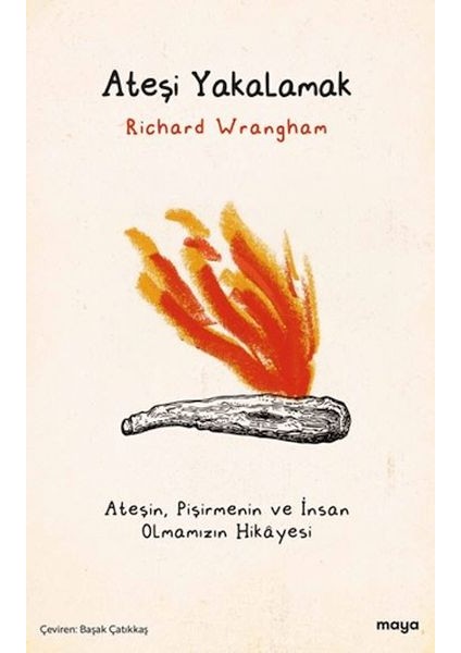 Ateşi Yakalamak
