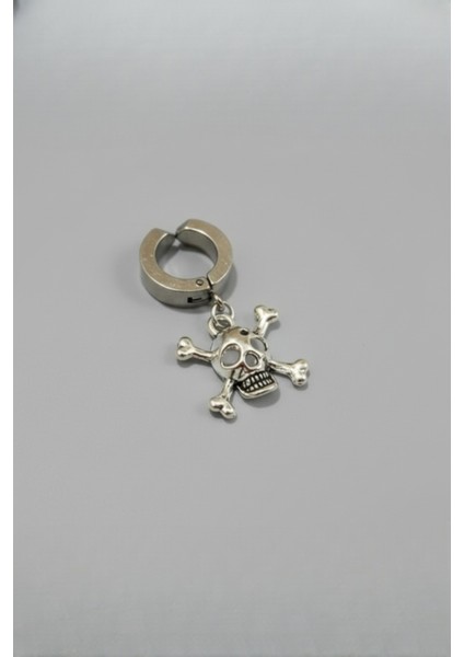 Sıkıştırmalı Mıknatıslı Kuru Kafa Model Sallantılı Erkek 316L Çelik Küpe 1 Adet fiyatları