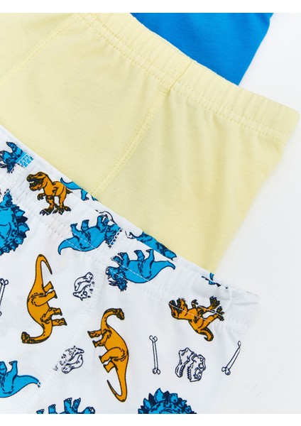 Yeni Sezon Erkek Çocuk Boxer 3'lü modelleri