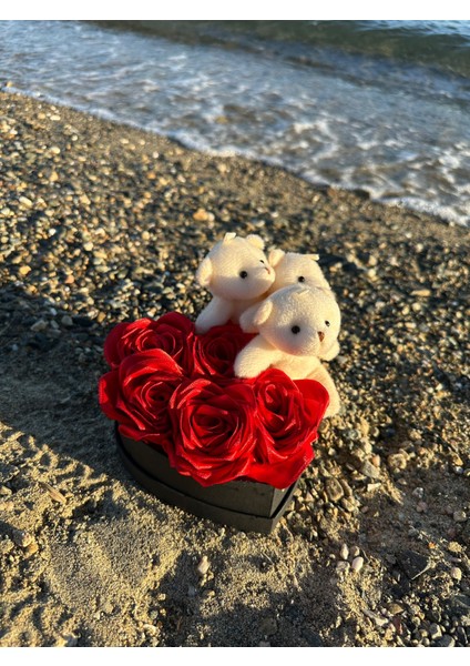 Kalpli Kutuda Ayıcıklı Solmayan Gül