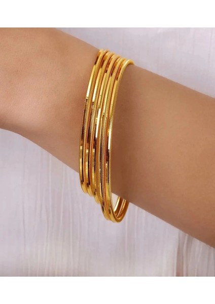 22 Ayar 10 Gram Ajda Işçiliksiz Bilezik fiyatları