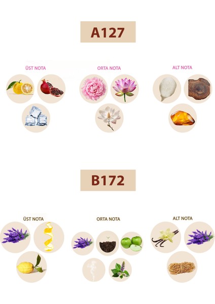 Bacera A127 Floral Kadın Parfüm 50ML Edp B172 Woody Erkek Parfüm 50ML Edp fiyatları