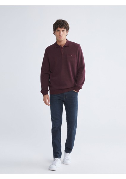 Yeni Sezon Polo Yaka Uzun Kollu Erkek Sweatshirt modelleri