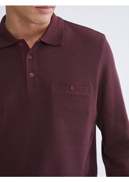 Yeni Sezon Polo Yaka Uzun Kollu Erkek Sweatshirt indirimleri