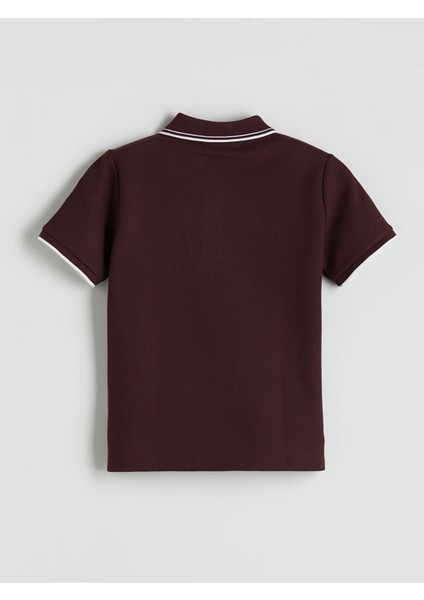 Yeni Sezon Polo Yaka Kısa Kollu Erkek Çocuk Tişört fiyatları