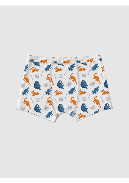 Yeni Sezon Erkek Çocuk Boxer 3'lü fiyatları