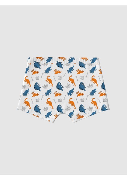 Yeni Sezon Erkek Çocuk Boxer 3'lü modelleri