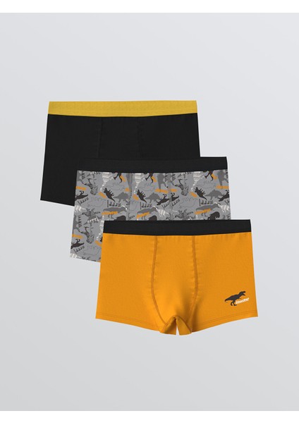 Yeni Sezon Baskılı Erkek Çocuk Boxer 3'lü