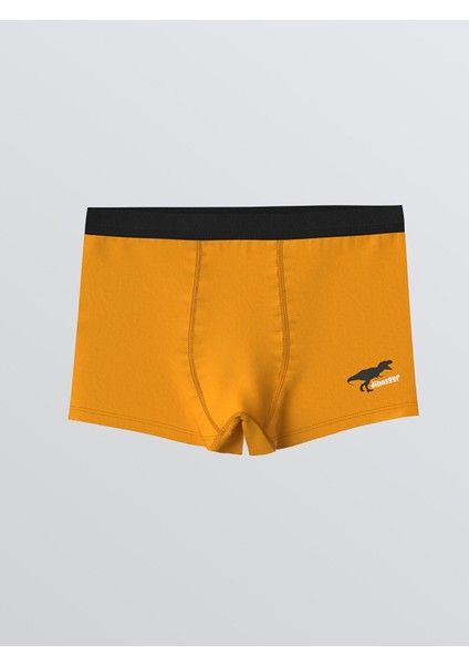 Yeni Sezon Baskılı Erkek Çocuk Boxer 3'lü fırsatları