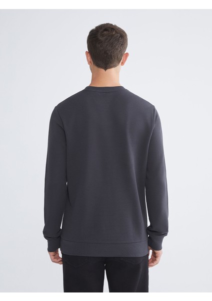 Yeni Sezon Bisiklet Yaka Erkek Sweatshirt fırsatları