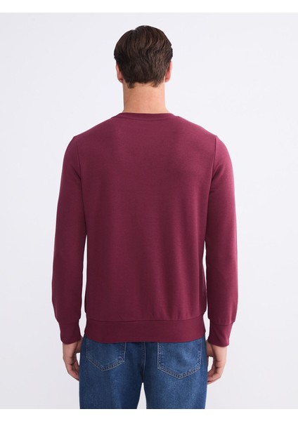 Yeni Sezon Bisiklet Yaka Baskılı Erkek Sweatshirt fırsatları