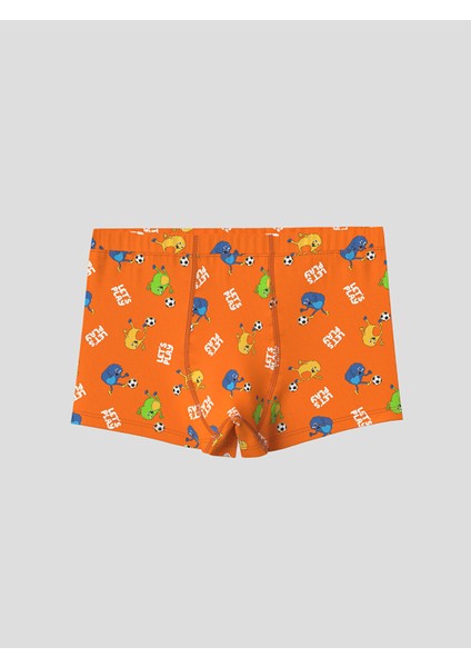 Yeni Sezon Baskılı Erkek Çocuk Boxer 3'lü modelleri