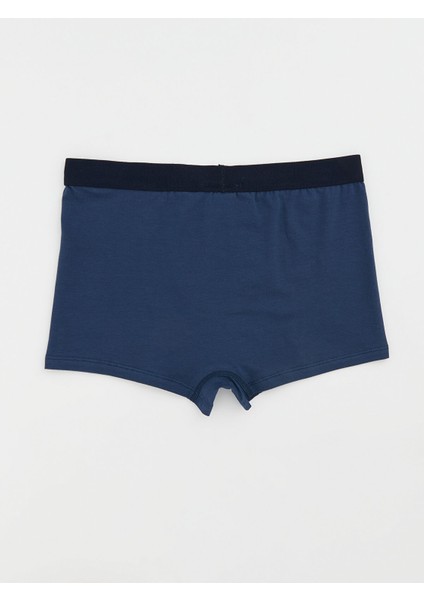 Yeni Sezon Basic Erkek Çocuk Boxer fiyatları