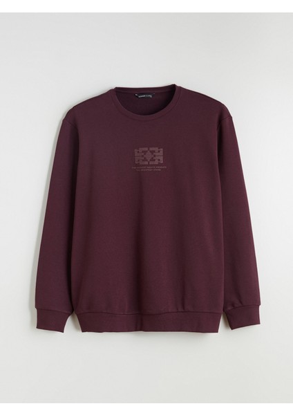 Yeni Sezon Bisiklet Yaka Baskılı Erkek Sweatshirt indirimleri