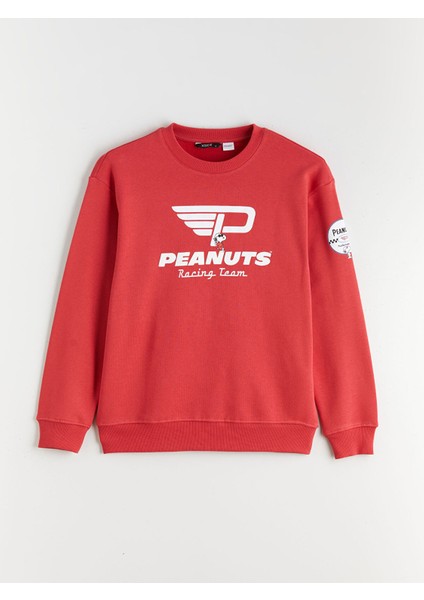 Yeni Sezon Bisiklet Yaka Snoopy Baskılı Erkek Sweatshirt indirimleri