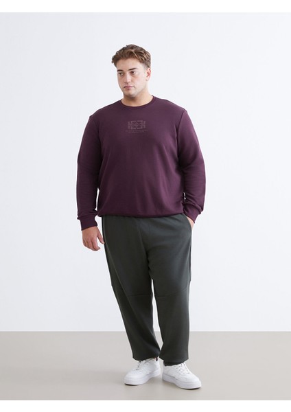 Yeni Sezon Bisiklet Yaka Baskılı Erkek Sweatshirt fiyatları