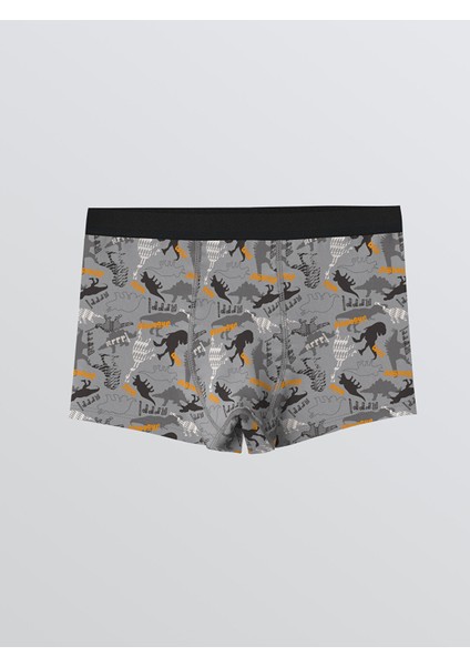 Yeni Sezon Baskılı Erkek Çocuk Boxer 3'lü modelleri