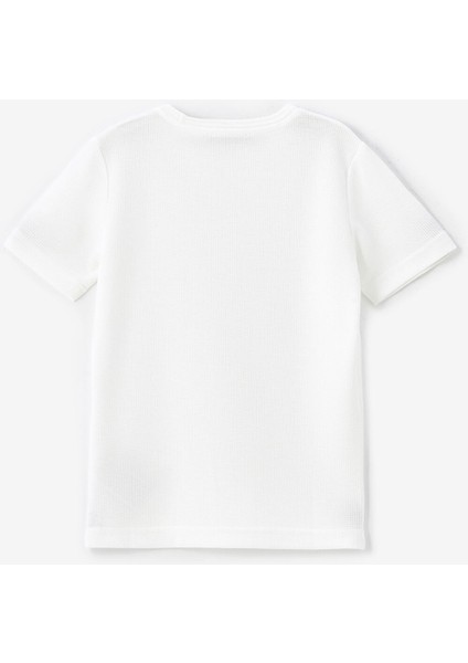 Yeni Sezon Bisiklet Yaka Basic Kısa Kollu Erkek Çocuk Tişört fiyatları