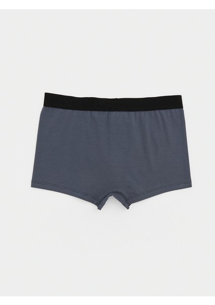 Yeni Sezon Basic Erkek Çocuk Boxer fiyatları