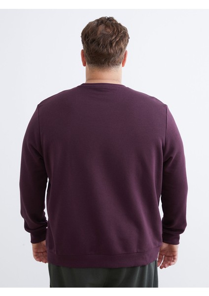 Yeni Sezon Bisiklet Yaka Baskılı Erkek Sweatshirt fırsatları