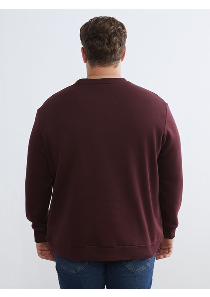 Yeni Sezon Bisiklet Yaka Erkek Kalın Sweatshirt fırsatları