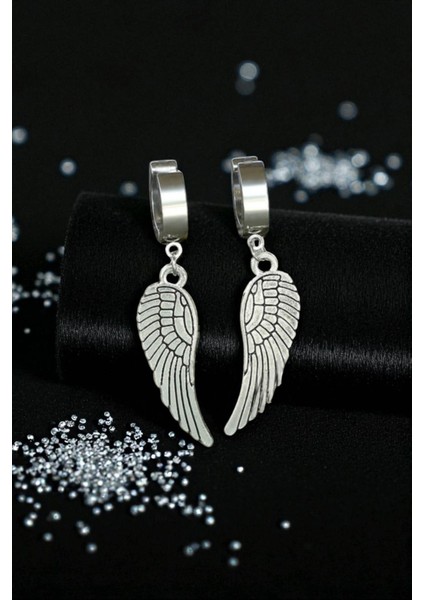 Sıkıştırmalı Mıknatıslı Kanat Model Sallantılı Erkek 316L Çelik Küpe 1 Adet modelleri