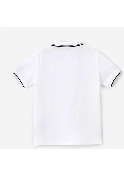 Yeni Sezon Polo Yaka Basic Kısa Kollu Erkek Çocuk Tişört fiyatları