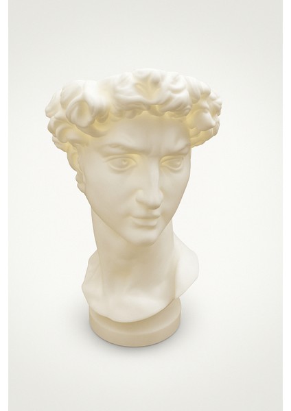 Davud Heykeli Dekoratif Saksı David Büst Saksı fırsatları