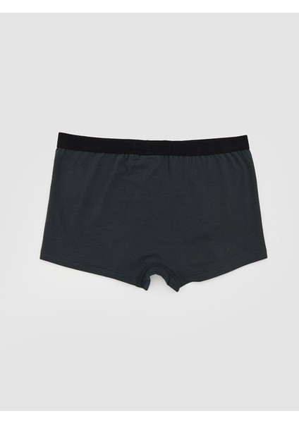 Yeni Sezon Basic Erkek Çocuk Boxer fiyatları