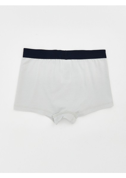 Yeni Sezon Basic Erkek Çocuk Boxer fiyatları