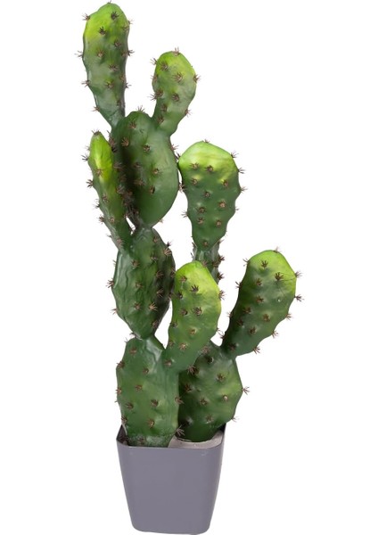 Yapay Kaktüs Saksılı 2 Gövde 72 Cm.