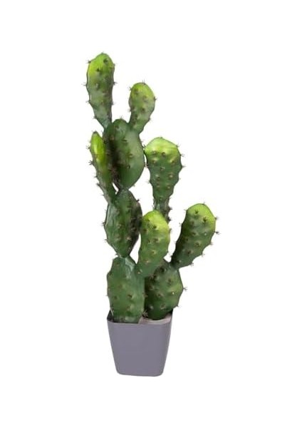 Yapay Kaktüs Saksılı 2 Gövde 72 Cm. fiyatları