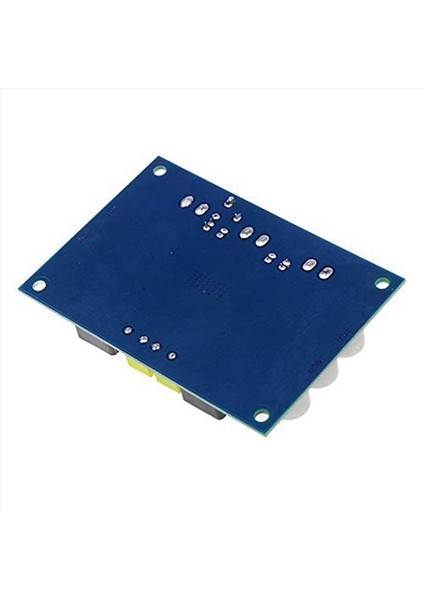 12 Pcs XH-M542 100W Ses Amplifikatör Kartı Dc 12V 26V TPA3116D2 Mono Kanal Dijital Yüksek Güçlü Amp (Yurt Dışından) fiyatları