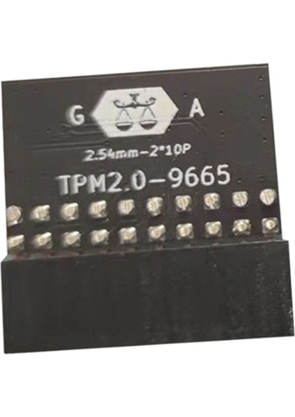 Tpm 2 0 Şifreli Güvenlik Modülü 20 Pin Ana Kurulu Kart Tpm2 0 Asus Gıgabyte Modular Modülü (Yurt Dışından)